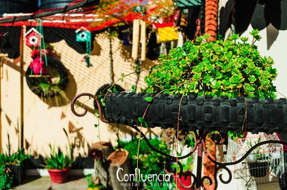 Hostal Confluencia Mendoza Eksteriør billede